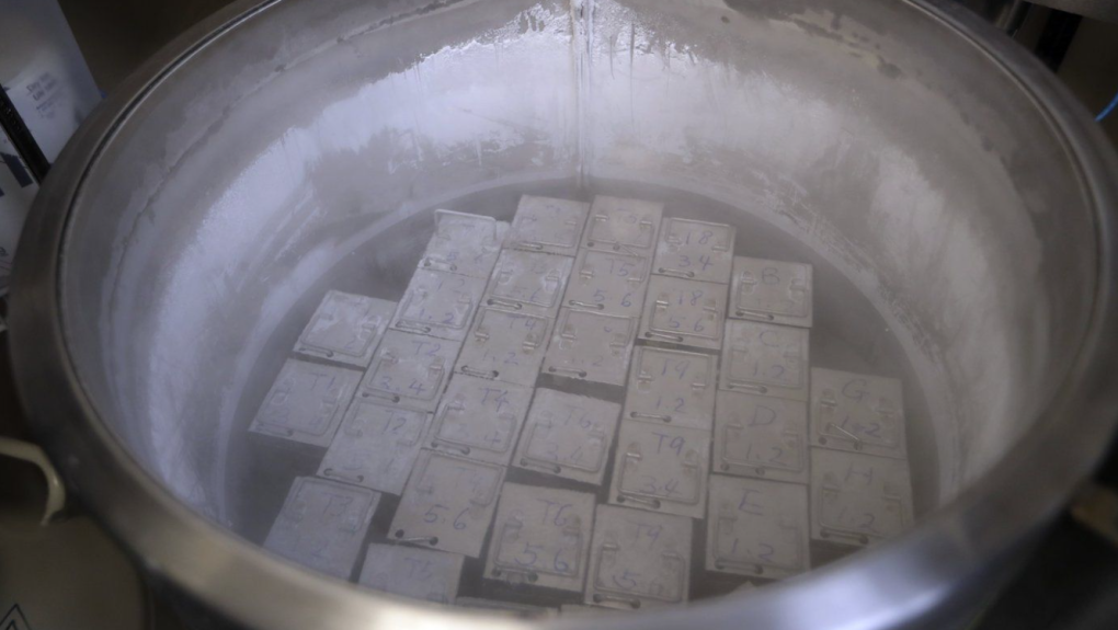 Containers holding frozen embryos and sperm are stored in liquid nitrogen at a fertility clinic in Fort Myers, Fla., on Tuesday, Oct. 2, 2018.  (AP Photo/Lynne Sladky, File)